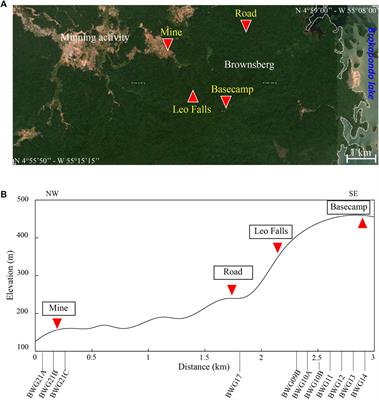 (U-Th)/He Geochronology Constraints on Lateritic Duricrust Formation on the Guiana Shield